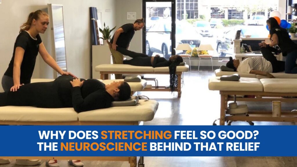 Why Does Stretching Feel So Good? The Neuroscience Behind That Relief