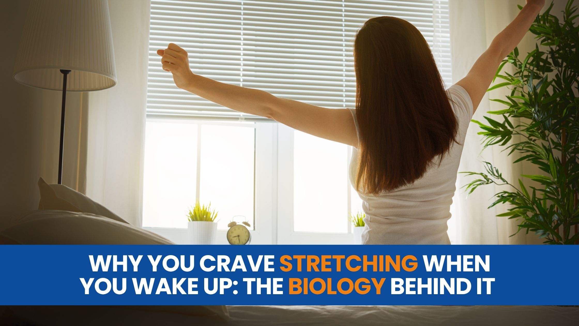 Why You Crave Stretching When You Wake Up: The Biology Behind It