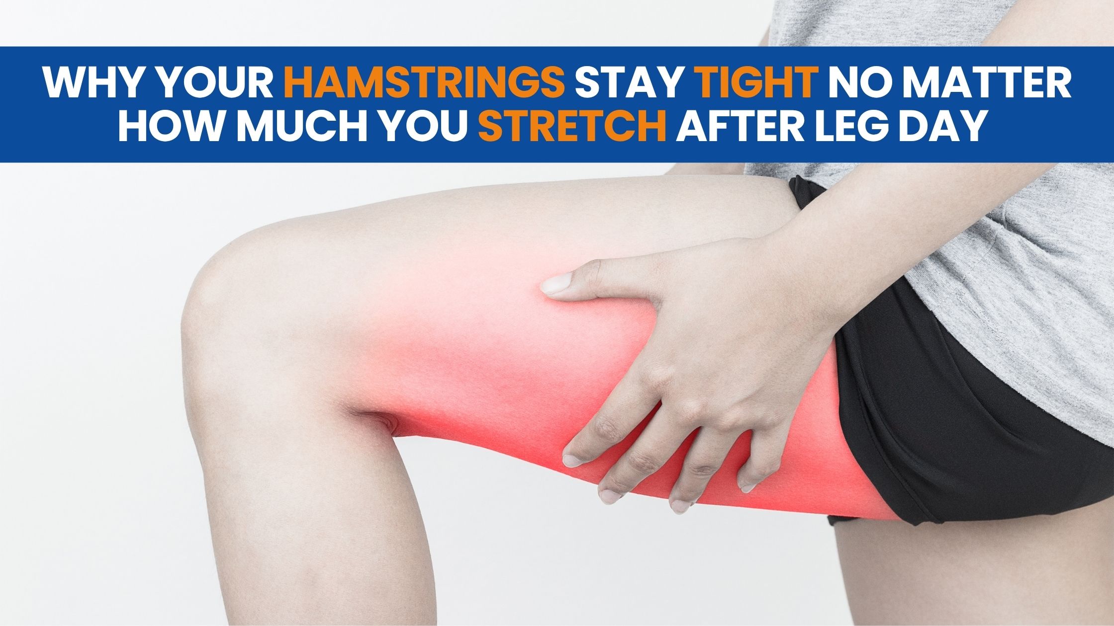 Why Hamstrings Stay Tight After Leg Day | StretchPlex DE