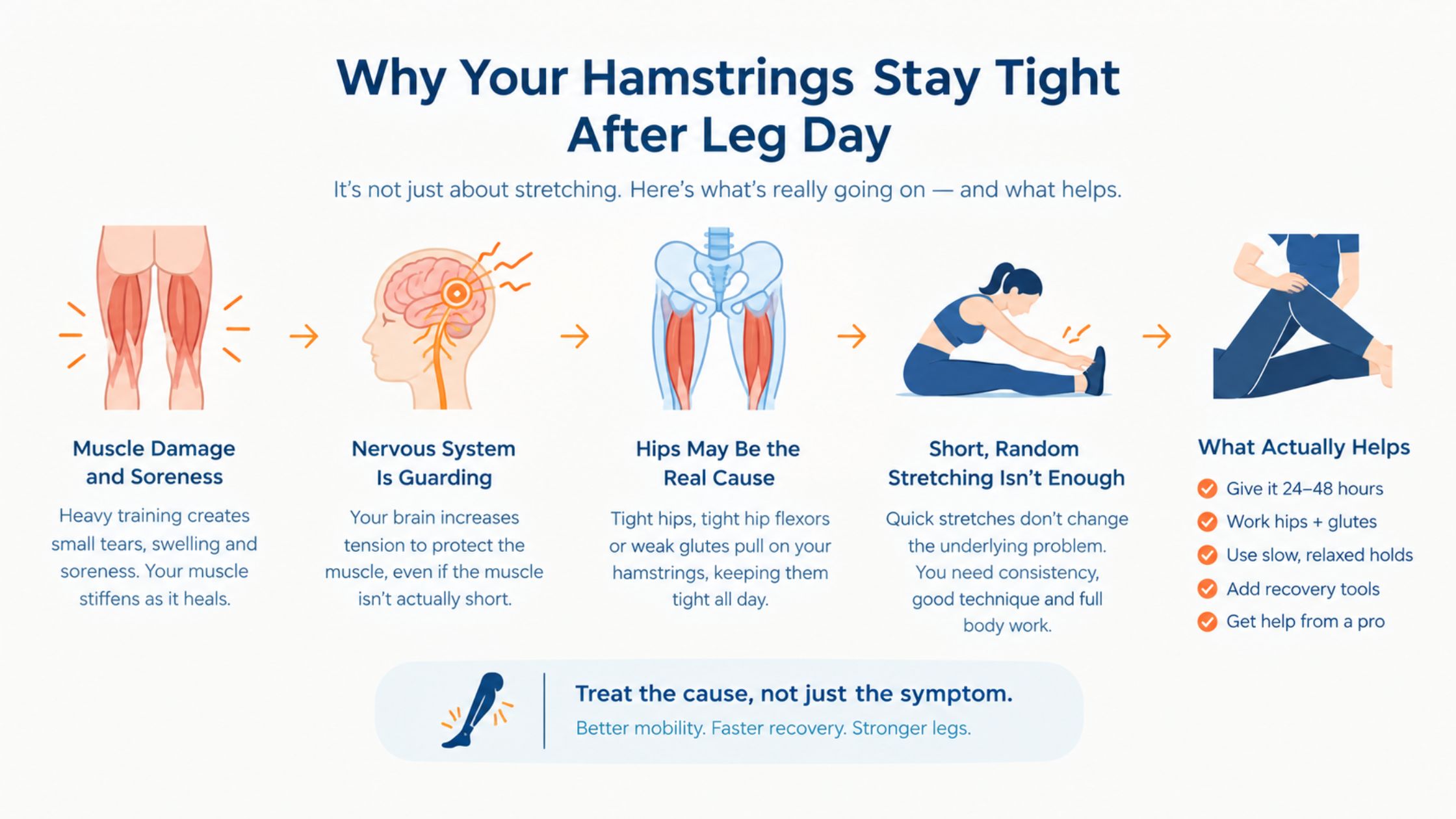Why Hamstrings Stay Tight After Leg Day | StretchPlex DE