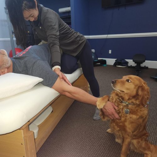 hockessin delaware stretchPlex persoanl training and assisted stretching